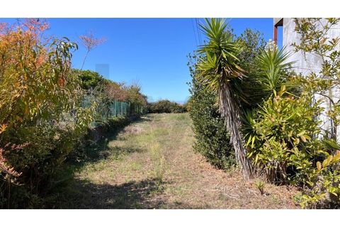 Villa i Vagos, Aveiro, Vagos - € 350.000 | Ref: KWPT-025525 - foto 18