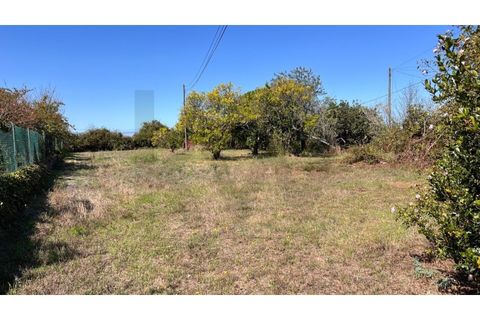 Villa i Vagos, Aveiro, Vagos - € 350.000 | Ref: KWPT-025525 - foto 19