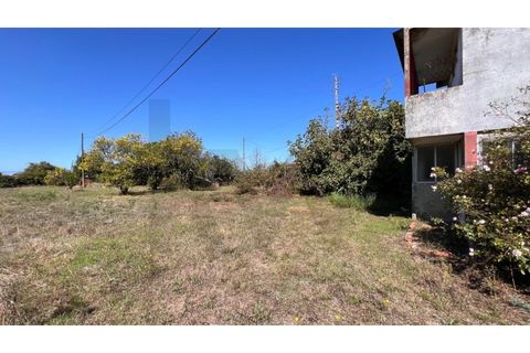 Villa i Vagos, Aveiro, Vagos - € 350.000 | Ref: KWPT-025525 - foto 20