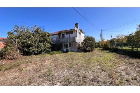 Villa i Vagos, Aveiro, Vagos - € 350.000 | Ref: KWPT-025525 - foto 21