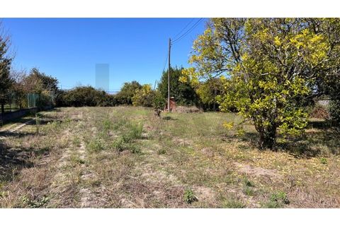Villa i Vagos, Aveiro, Vagos - € 350.000 | Ref: KWPT-025525 - foto 23