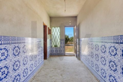 Villa i Cartaxo, Santarem, Cartaxo - € 250.000 | Ref: KWPT-015006 - foto 3