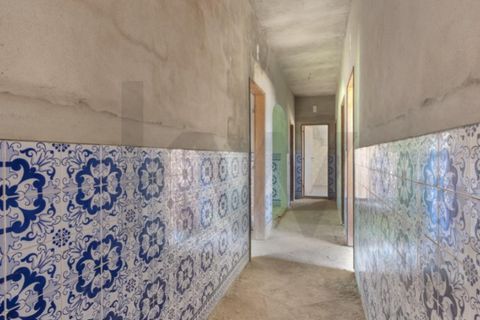 Villa i Cartaxo, Santarem, Cartaxo - € 250.000 | Ref: KWPT-015006 - foto 14