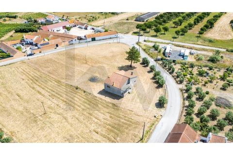 Villa i Cartaxo, Santarem, Cartaxo - € 250.000 | Ref: KWPT-015006 - foto 22