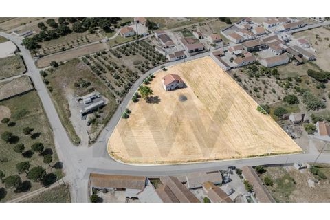 Villa i Cartaxo, Santarem, Cartaxo - € 250.000 | Ref: KWPT-015006 - foto 23