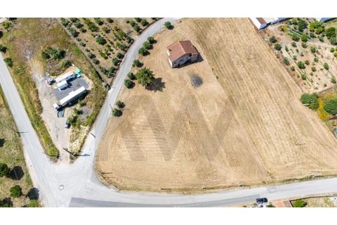 Villa i Cartaxo, Santarem, Cartaxo - € 250.000 | Ref: KWPT-015006 - foto 24