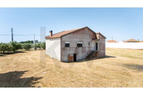 Villa i Cartaxo, Santarem, Cartaxo - € 250.000 | Ref: KWPT-015006 - foto 25