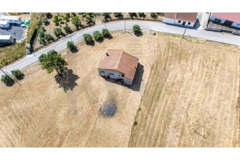 Villa i Cartaxo, Santarem, Cartaxo - € 250.000 | Ref: KWPT-015006 - foto 26