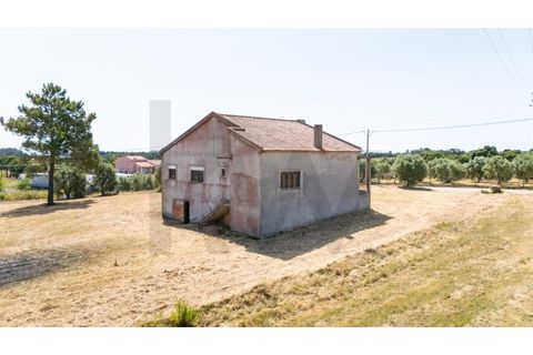 Villa i Cartaxo, Santarem, Cartaxo - € 250.000 | Ref: KWPT-015006 - foto 27