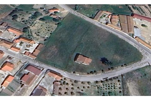 Villa i Cartaxo, Santarem, Cartaxo - € 250.000 | Ref: KWPT-015006 - foto 29