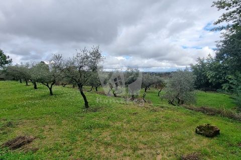 Helårsgrund i Fundao, Castelo Branco, Fundao - € 49.500 | Ref: H764 - foto 2