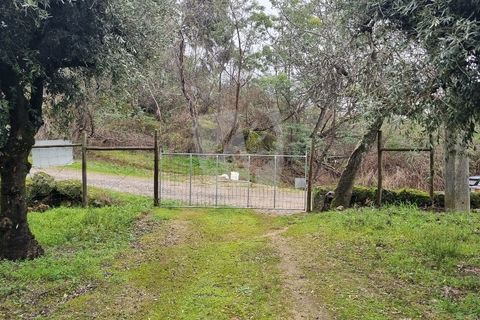 Helårsgrund i Fundao, Castelo Branco, Fundao - € 49.500 | Ref: H764 - foto 3