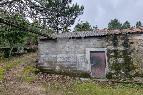 Helårsgrund i Fundao, Castelo Branco, Fundao - € 49.500 | Ref: H764 - foto 6