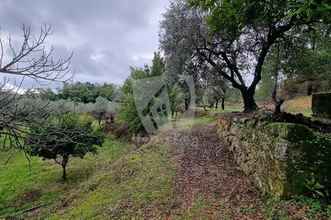 Helårsgrund i Fundao, Castelo Branco, Fundao - € 49.500 | Ref: H764 - foto 8