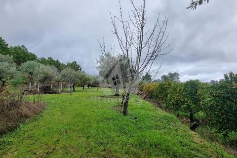 Helårsgrund i Fundao, Castelo Branco, Fundao - € 49.500 | Ref: H764 - foto 11