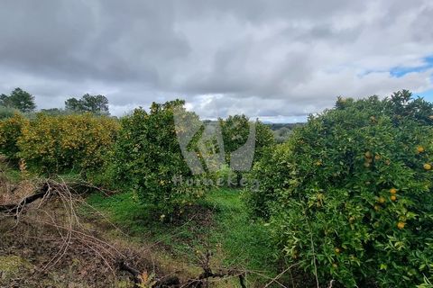 Helårsgrund i Fundao, Castelo Branco, Fundao - € 49.500 | Ref: H764 - foto 12