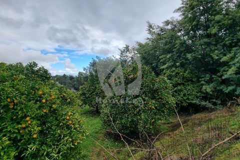 Helårsgrund i Fundao, Castelo Branco, Fundao - € 49.500 | Ref: H764 - foto 13