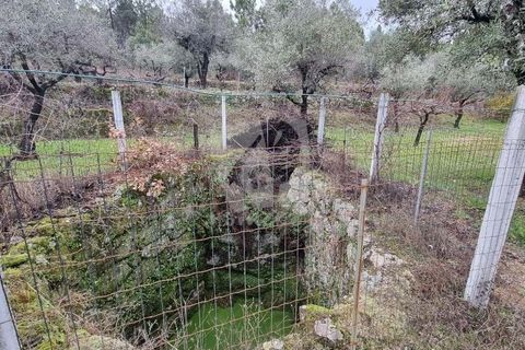 Helårsgrund i Fundao, Castelo Branco, Fundao - € 49.500 | Ref: H764 - foto 14