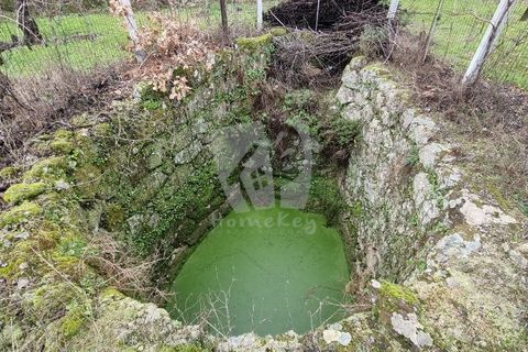 Helårsgrund i Fundao, Castelo Branco, Fundao - € 49.500 | Ref: H764 - foto 15
