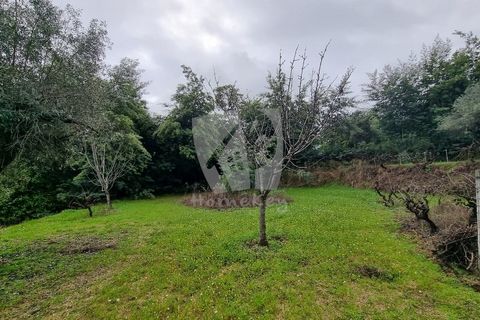 Helårsgrund i Fundao, Castelo Branco, Fundao - € 49.500 | Ref: H764 - foto 16