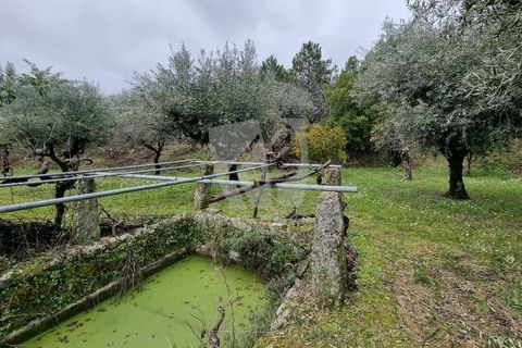 Helårsgrund i Fundao, Castelo Branco, Fundao - € 49.500 | Ref: H764 - foto 19