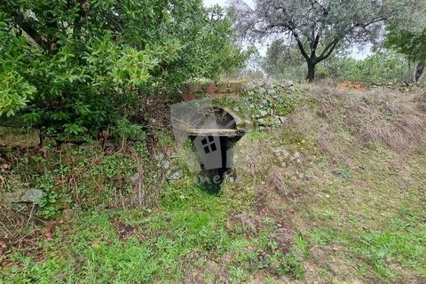 Helårsgrund i Fundao, Castelo Branco, Fundao - € 49.500 | Ref: H764 - foto 21
