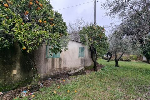 Helårsgrund i Fundao, Castelo Branco, Fundao - € 49.500 | Ref: H764 - foto 23
