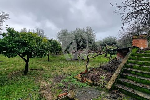 Helårsgrund i Fundao, Castelo Branco, Fundao - € 49.500 | Ref: H764 - foto 26