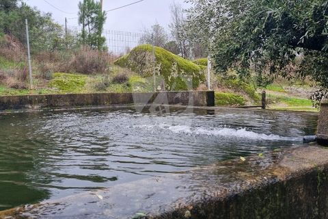 Helårsgrund i Fundao, Castelo Branco, Fundao - € 49.500 | Ref: H764 - foto 29