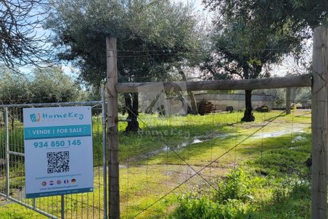 Helårsgrund i Fundao, Castelo Branco, Fundao - € 49.500 | Ref: H764 - foto 1
