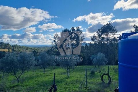 Helårsgrund i Castelo Branco, Castelo Branco, Castelo Branco - € 16.000 | Ref: H765 - foto 1