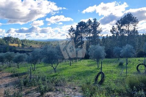 Helårsgrund i Castelo Branco, Castelo Branco, Castelo Branco - € 16.000 | Ref: H765 - foto 2