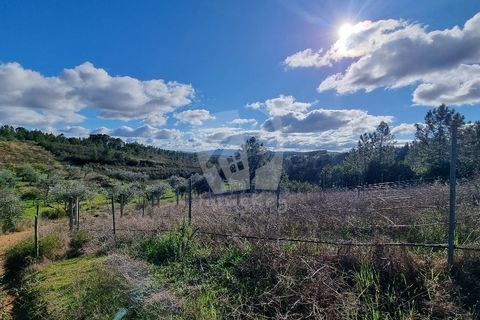 Helårsgrund i Castelo Branco, Castelo Branco, Castelo Branco - € 16.000 | Ref: H765 - foto 4