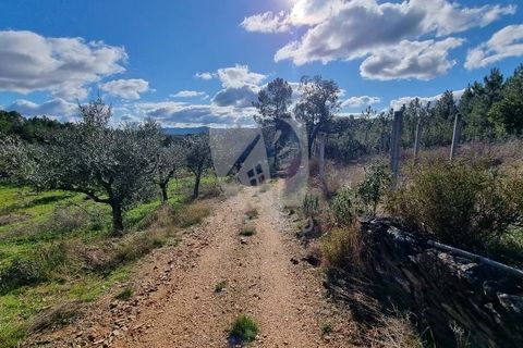 Helårsgrund i Castelo Branco, Castelo Branco, Castelo Branco - € 16.000 | Ref: H765 - foto 5