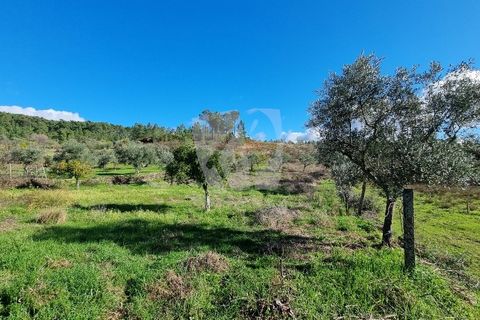 Helårsgrund i Castelo Branco, Castelo Branco, Castelo Branco - € 16.000 | Ref: H765 - foto 8
