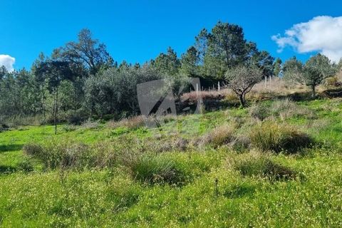 Helårsgrund i Castelo Branco, Castelo Branco, Castelo Branco - € 16.000 | Ref: H765 - foto 10