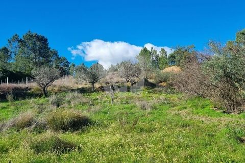 Helårsgrund i Castelo Branco, Castelo Branco, Castelo Branco - € 16.000 | Ref: H765 - foto 11