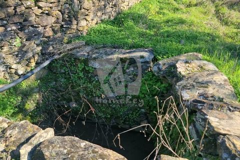Helårsgrund i Castelo Branco, Castelo Branco, Castelo Branco - € 16.000 | Ref: H765 - foto 12