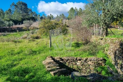 Helårsgrund i Castelo Branco, Castelo Branco, Castelo Branco - € 16.000 | Ref: H765 - foto 16