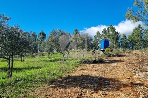 Helårsgrund i Castelo Branco, Castelo Branco, Castelo Branco - € 16.000 | Ref: H765 - foto 20