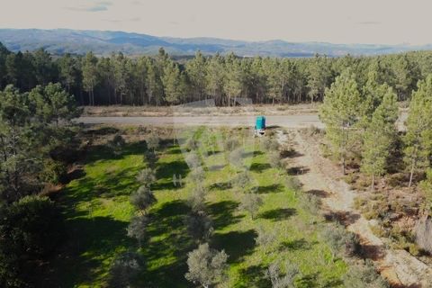 Helårsgrund i Castelo Branco, Castelo Branco, Castelo Branco - € 16.000 | Ref: H765 - foto 23
