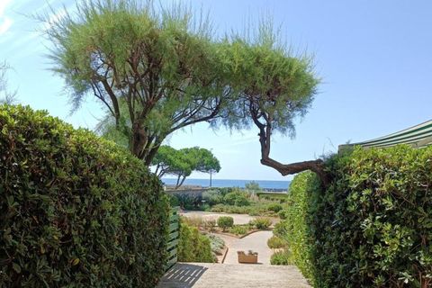 Estudi a Sete, Herault, Sete - € 390/mes | Ref: 749355 - foto 2