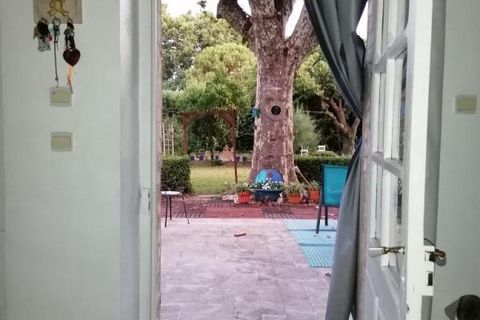 Estudi a Avignon, Vaucluse, Avignon - € 450/mes | Ref: 718601 - foto 2