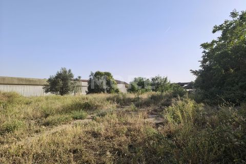 Tomt i Evora, Evora, Evora - € 695 000 | Ref: 03385/T001 - foto 4