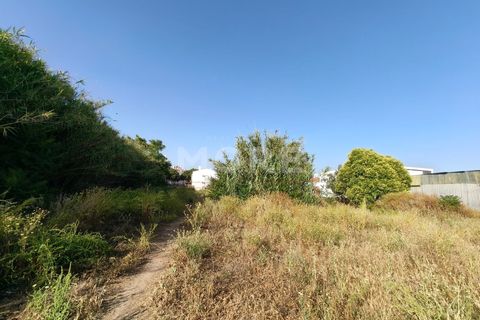 Tomt i Evora, Evora, Evora - € 695 000 | Ref: 03385/T001 - foto 5