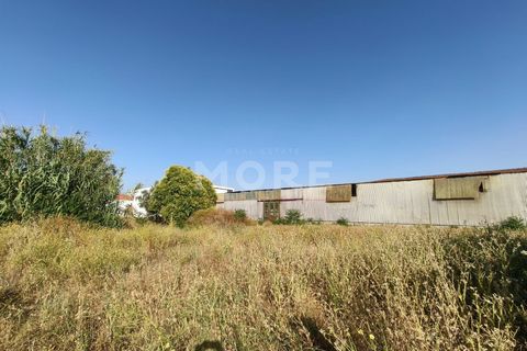 Tomt i Evora, Evora, Evora - € 695 000 | Ref: 03385/T001 - foto 7