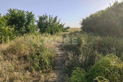 Tomt i Evora, Evora, Evora - € 695 000 | Ref: 03385/T001 - foto 8
