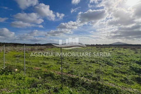Erhvervsejendom i Alghero, Sassari, Alghero - € 30.000 | Ref: ALGHE82 - foto 3