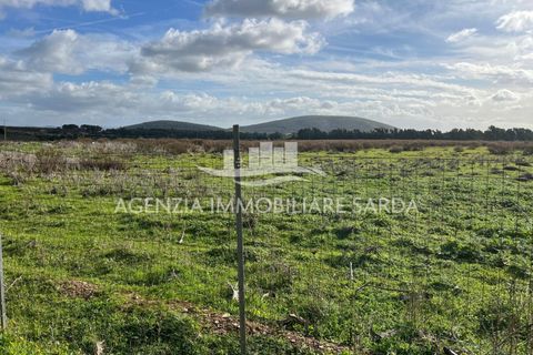 Erhvervsejendom i Alghero, Sassari, Alghero - € 30.000 | Ref: ALGHE82 - foto 5