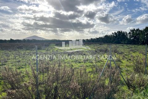 Erhvervsejendom i Alghero, Sassari, Alghero - € 30.000 | Ref: ALGHE82 - foto 10